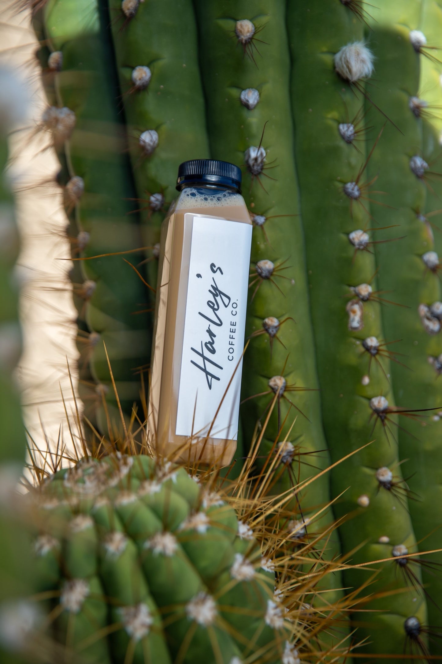 Bottled Lattes- Build Your Own